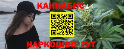 стафф Будённовск