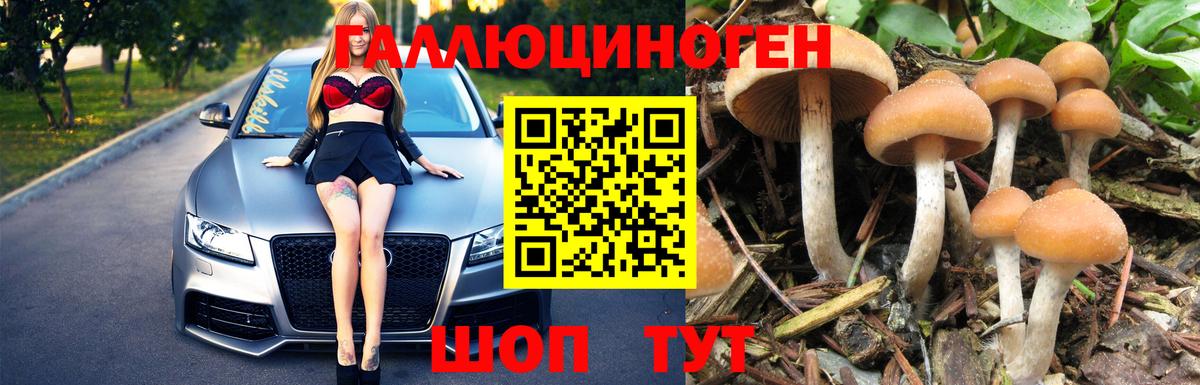 Псилоцибиновые грибы прущие грибы Псков